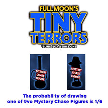 Load image into Gallery viewer, Tiny Terrors | Single Box