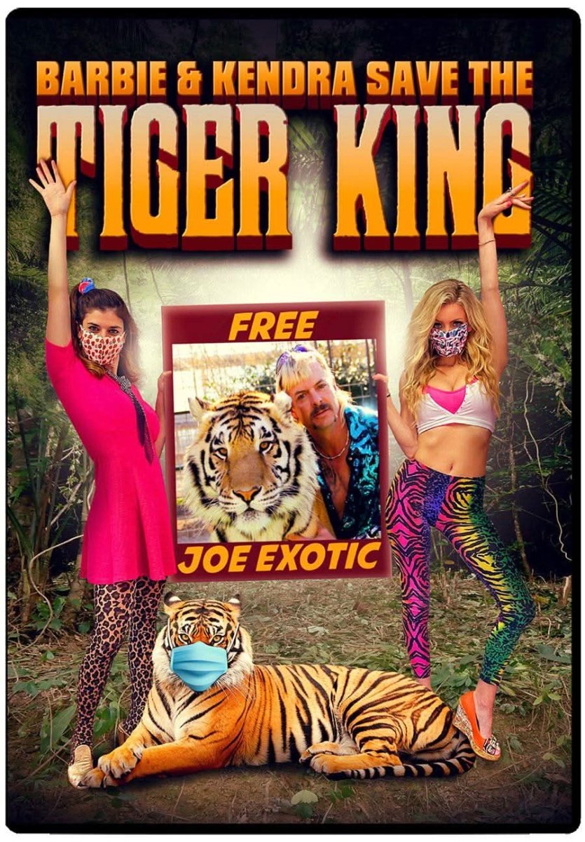 Barbie and Kendra Save The Tiger King DVD - Media